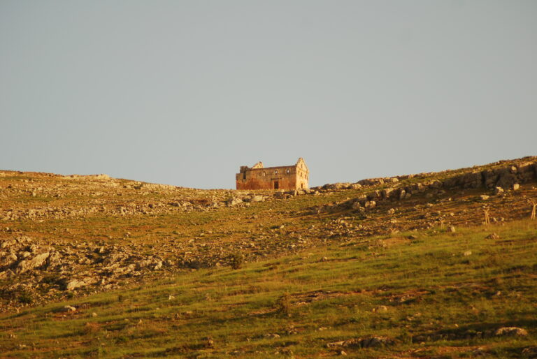 DSC_1813